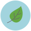 Leaf icon