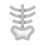 Pelvis icon