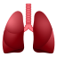 肺の絵文字 icon