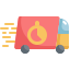 Fast Delivery icon