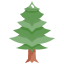 Pine Tree icon