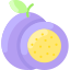 열정 과일 icon