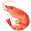 Shrimp icon