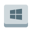 tasto Windows icon