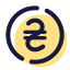 Ukrainian Hryvnia icon