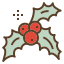 Mistletoe icon