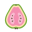 guaiava icon