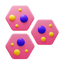 Body Cells icon