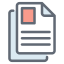 Document icon