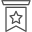 Insignia icon