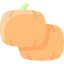 Pumpkin icon