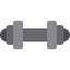 dumbbell icon