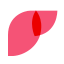 Liver icon