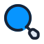 Magnifier icon