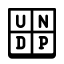 UNDP icon