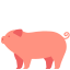 Porc icon