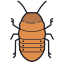 мадагаскарский таракан icon