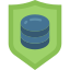 Data icon