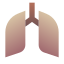 Lungs icon