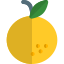 Orange fruit of the citrus species and juicy icon