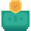 money shield icon