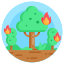 Forest Fire icon