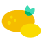 queso Mozzarella icon