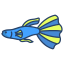 externo-Guppy-Fish-fishes-icongeek26-linear-colour-icongeek26 icon