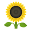 emoji-girasol icon