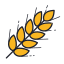Пшеница icon