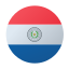 circular-paraguay icon