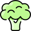 Brócolis icon