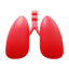 Pulmones icon