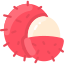 Rambutan icon