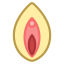 Vagina icon