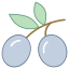 Olive icon