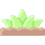 Gras icon