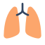 Lungs icon