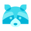 浣熊 icon