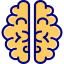 brain icon