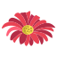 Daisy icon