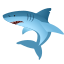 Shark icon