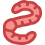 Earthworm icon