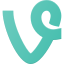 Vine Logo icon