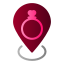 Location Pin icon