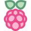 Raspberry Pi icon