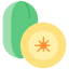 Kiwi icon