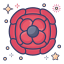 Anemone icon