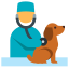 獣医師の診察 icon