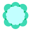 Coliflor icon